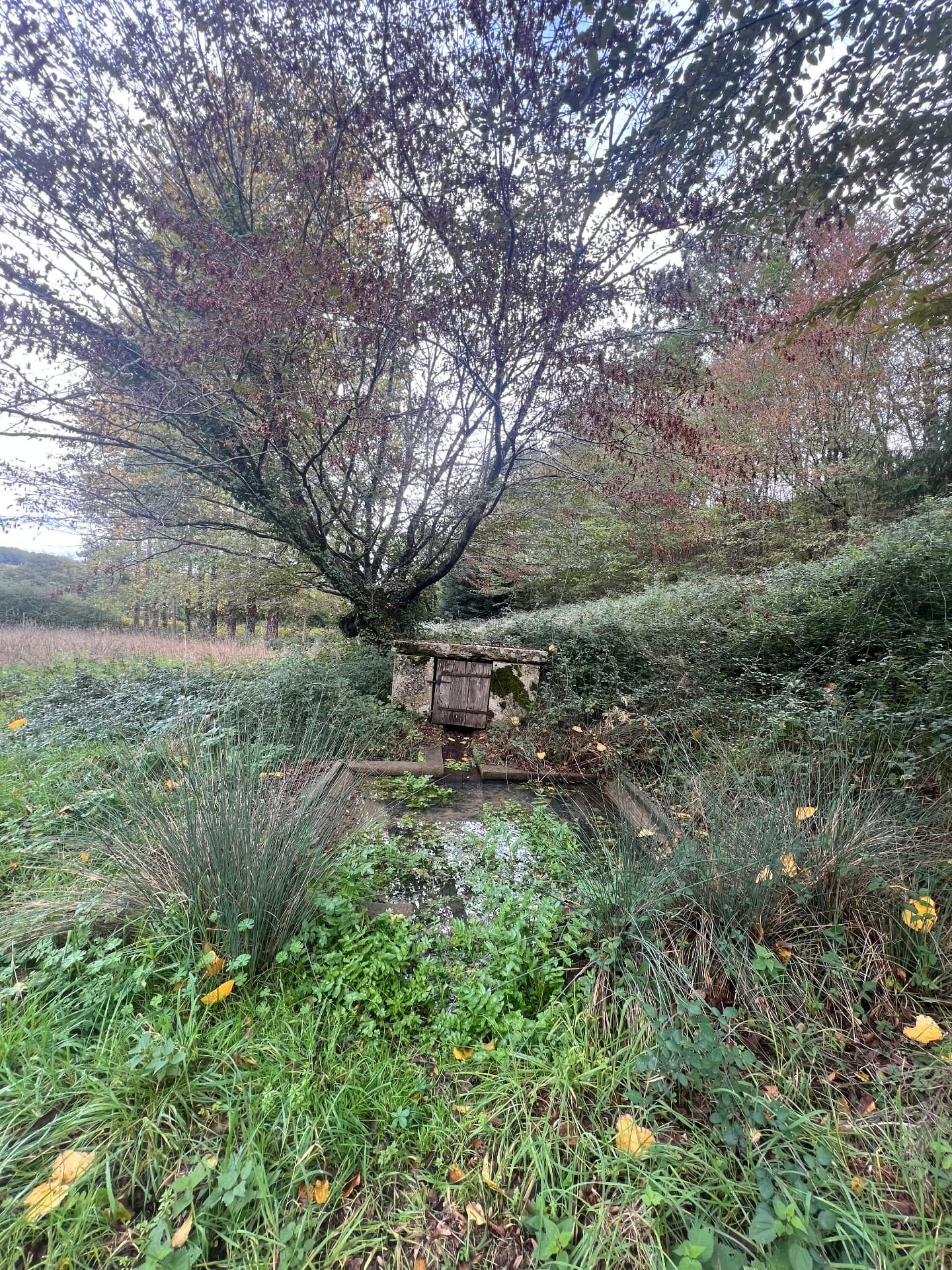 Natural stone spring and basin