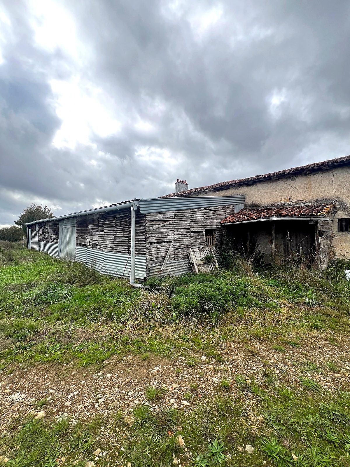 Farm buildings at the edge of the grassland