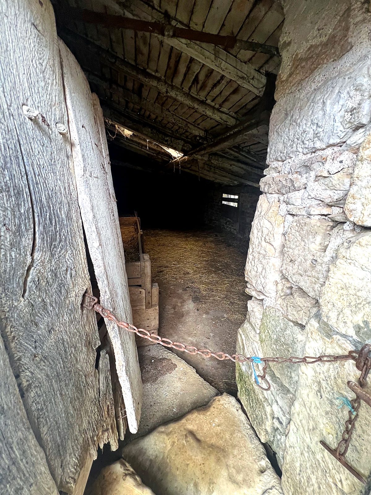Old timber barn door opening onto the barn