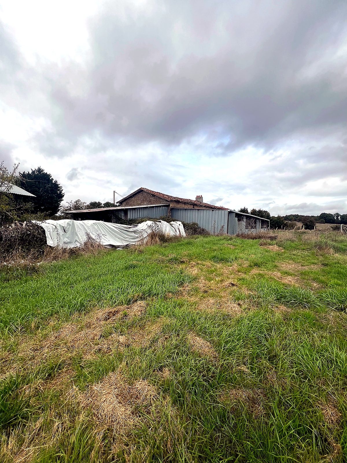 Grassland and farm buildings