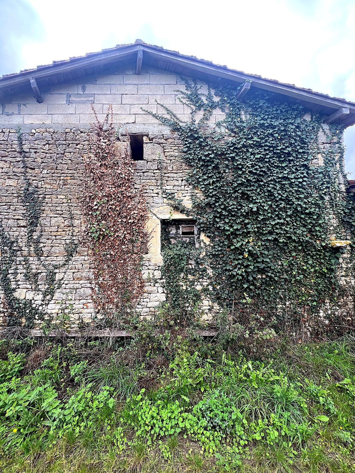 Ivy-clad stone barn