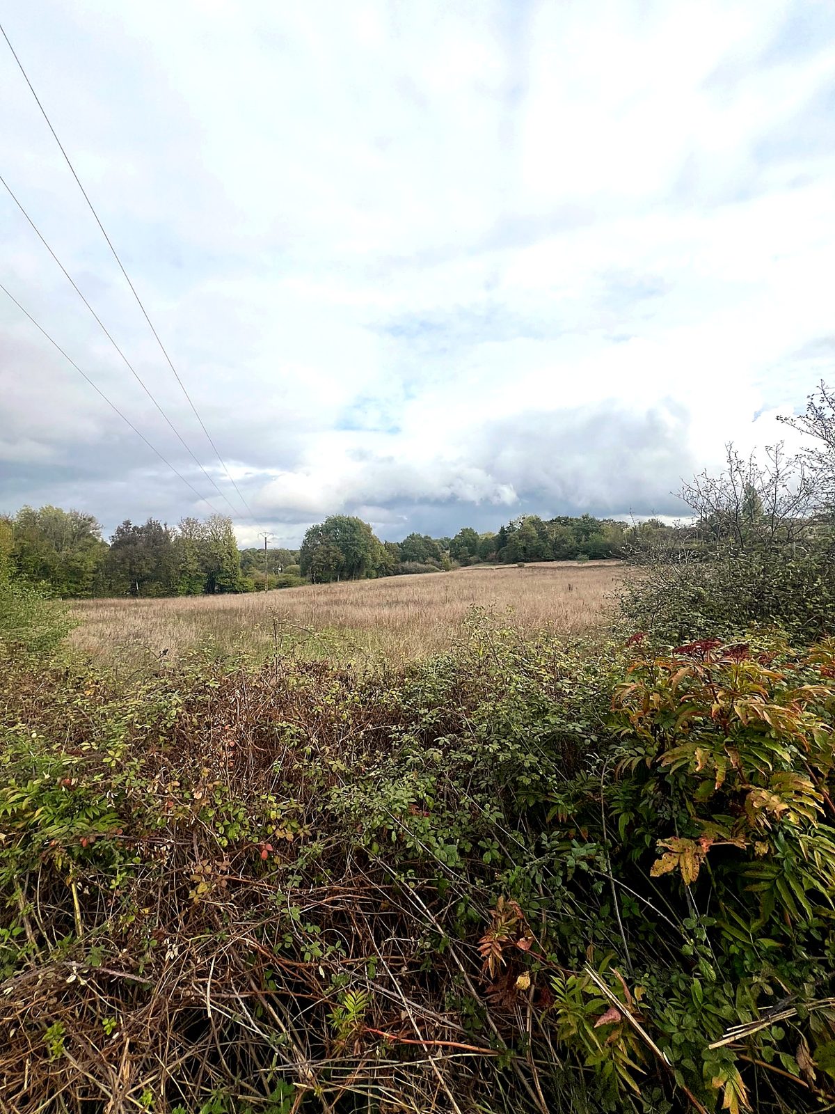 View across the hedgerow to open fields