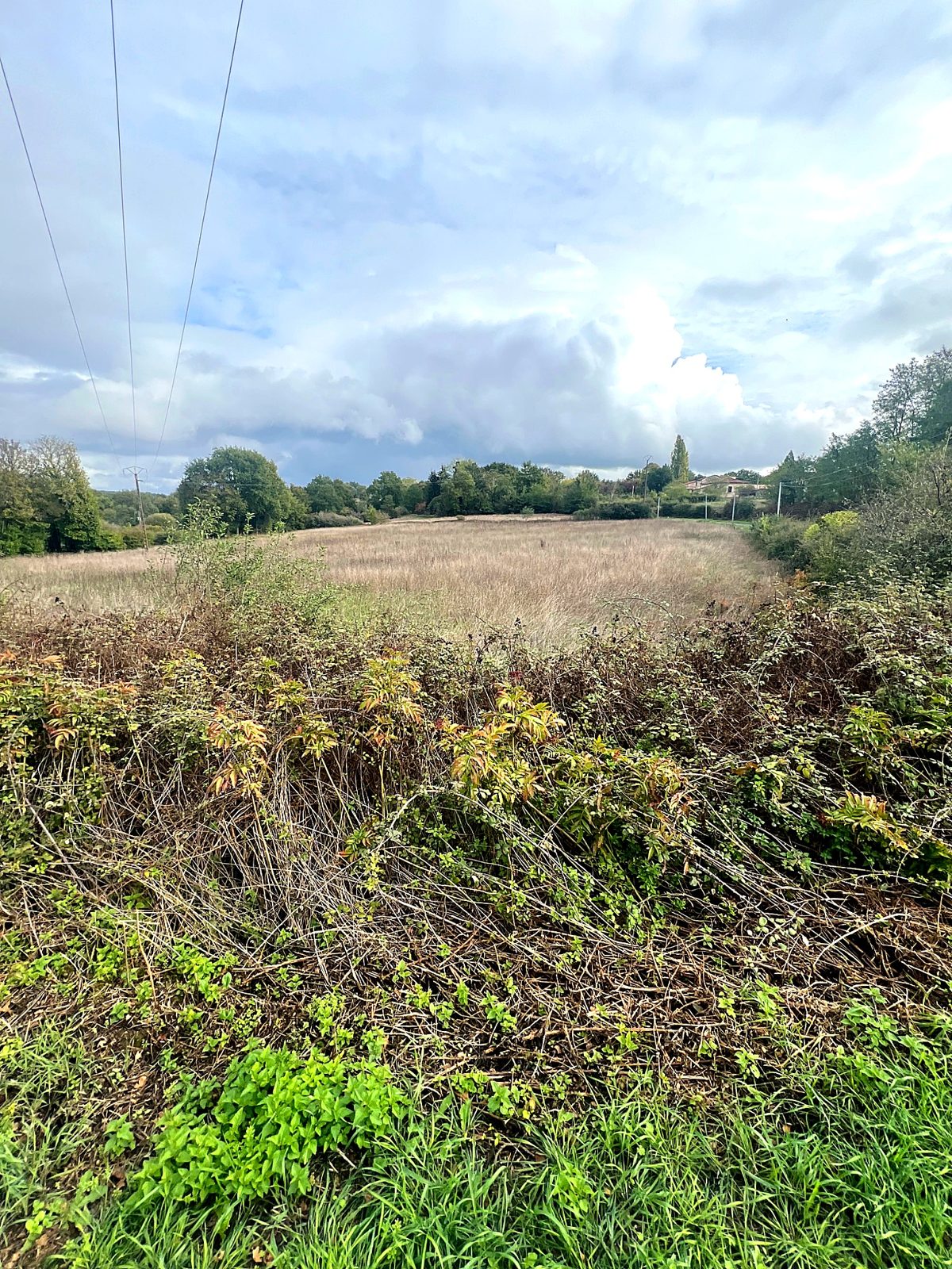 View over the fields towards the countryside