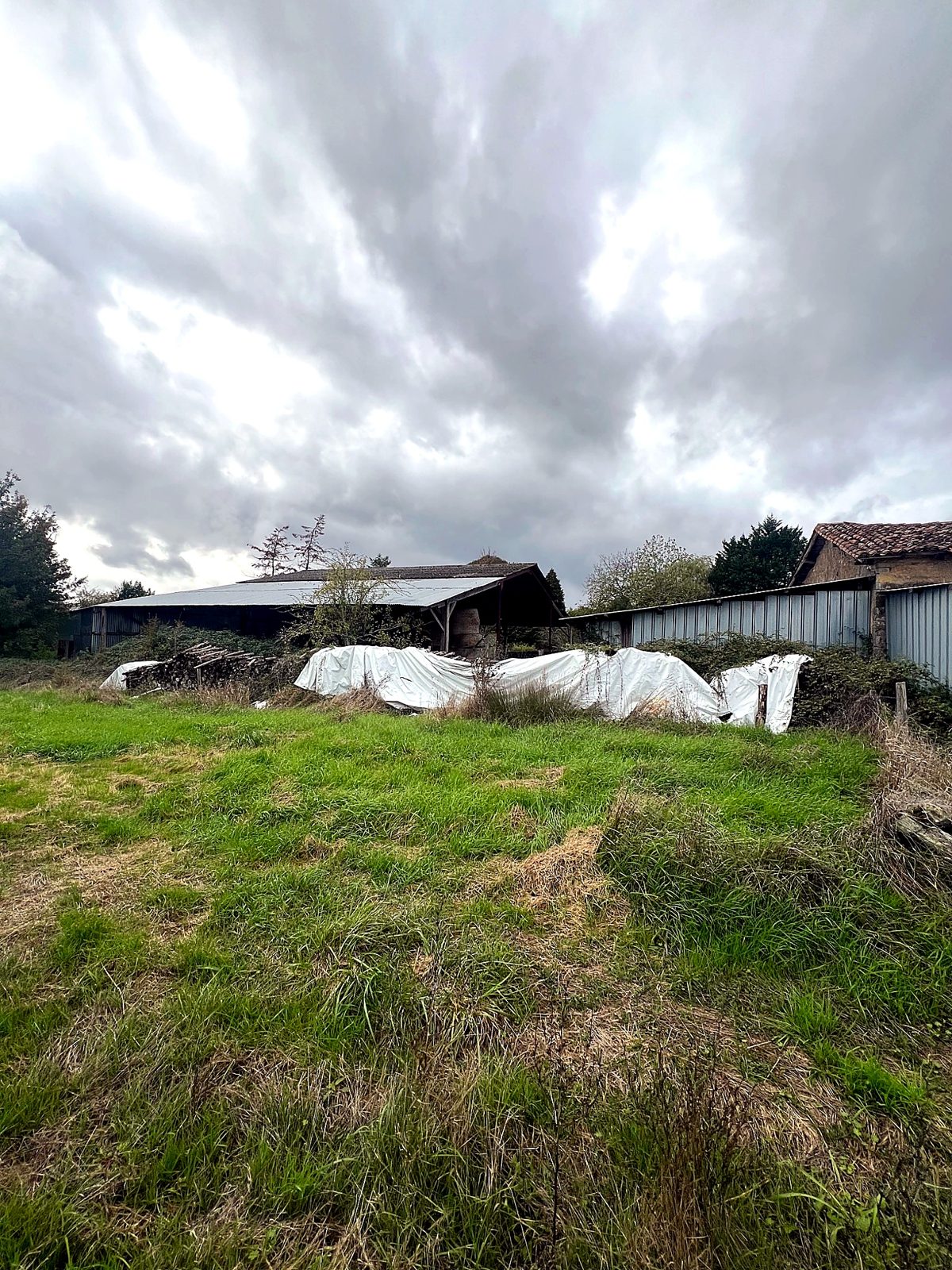 Grassland with farm buildings beyond